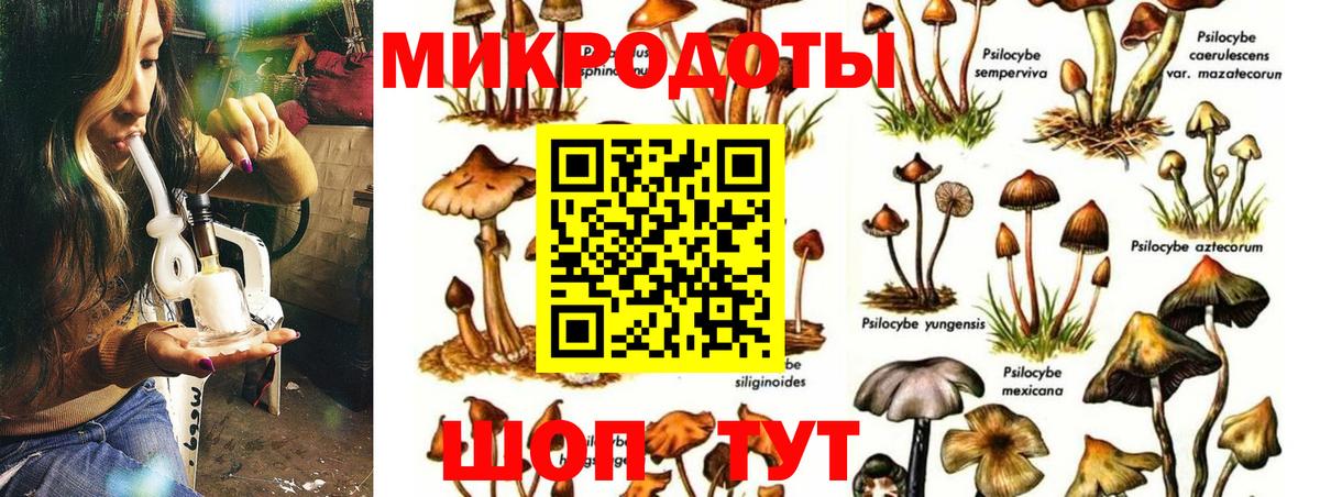 Галлюциногенные грибы Magic Shrooms  Вход с VPN  Октябрьский 