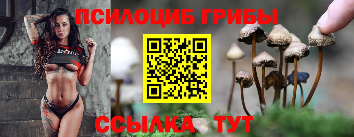 Псилоцибиновые грибы Magic Shrooms Октябрьский